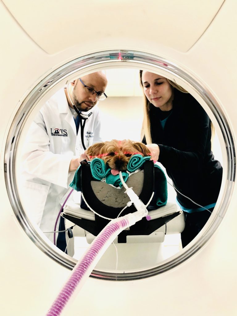 advanced diagnostic services