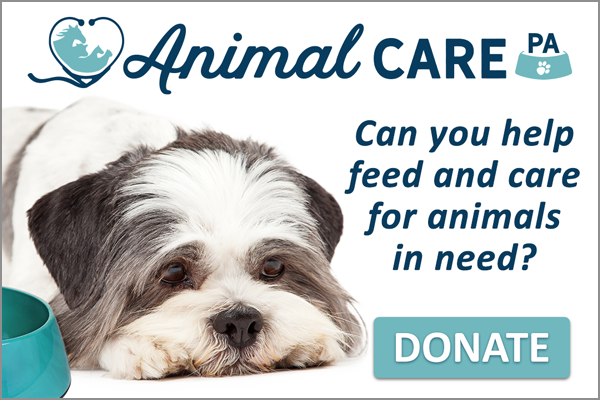 Consider donating to celebrate a birthday or even honor a life. When you donate you can choose which program you want it to go towards, or choose “Area of Greatest Need” to allow Animal Care PA to put it where it is needed the most. You can even set your donation frequency to one time to monthly or even annually! 